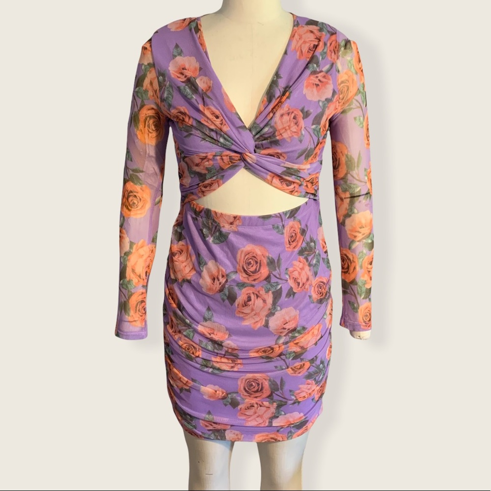 Minette mesh bodycon dress size XL